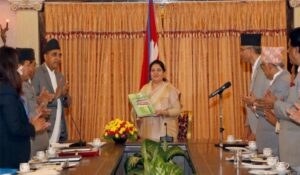 राष्ट्रपतिसमक्ष भाषा आयोगको प्रतिवेदन पेश