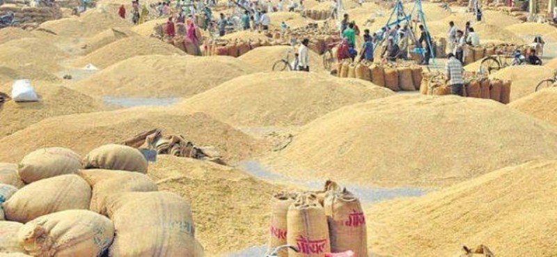 बारामा तीन अर्ब ३४ करोडको अगहनी धान उत्पादन