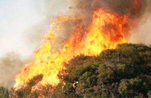 म्याग्दीका अधिकांश सामुदायिक वनमा अचानक आगलागी : १२ सय हेक्टर वन क्षेत्रको क्षति