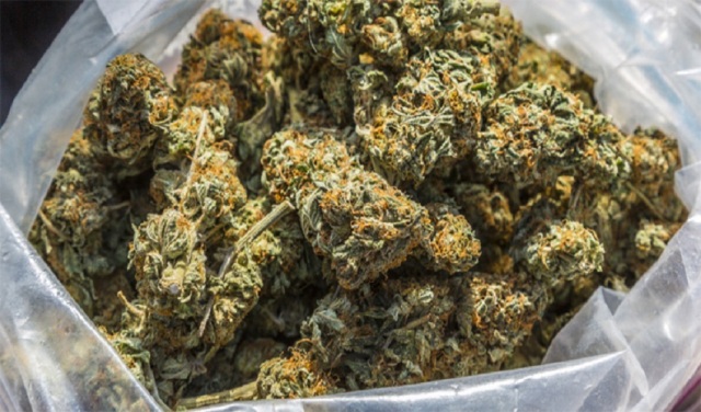 दुई किलो गाँजासहित वीरगञ्जबाट १४ वर्षे बालक प्रहरीको हिरासतमा