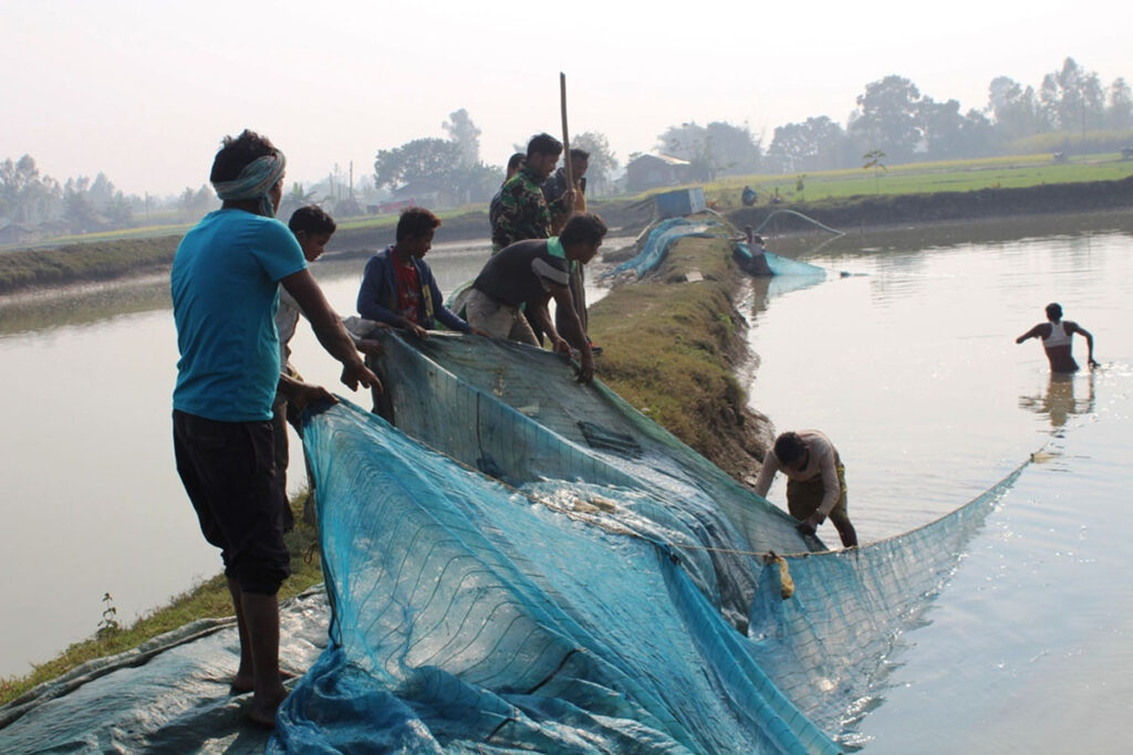 माछापालनप व्यवसायप्रति किसानको आकर्षण बढ्दै