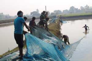माछापालनप व्यवसायप्रति किसानको आकर्षण बढ्दै