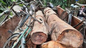 धनुषामा ६ वटा सालको गोलिया बोकेको टयाक्टर प्रहरी फन्दामा