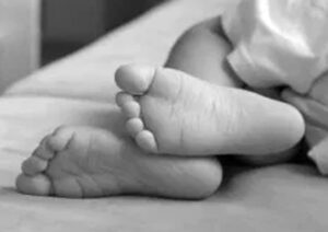 सर्पको डसाइबाट पाँच वर्षीय बालकको मृत्यु