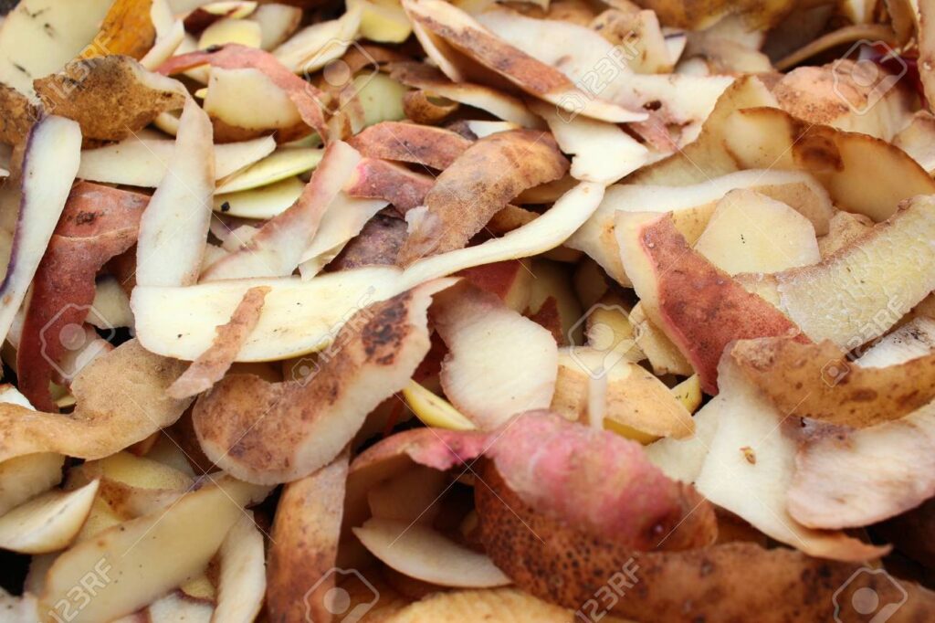 तपाई आलुको बोक्रा फ्याल्ने गर्दै पक्कै यो पढेका छैनन् रोगको लागि छ अचुक