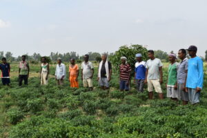 महोत्तरीका किसान: बगर खेतीले पंजाब जाने बाध्यता हट्यो