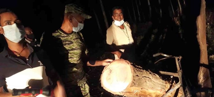 महोत्तरीमा तस्करीको ताण्डव साइकलमा लैजाँदै १० थान सालको गोलिया बरामद, तस्कर फरार