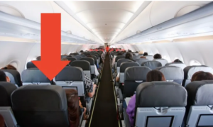 बिमानभित्र प्रेममा लिप्त भएको जोडीको देखियो यस्तो दृश्य, एयर होस्टेसले हेर्न न सकेपछी