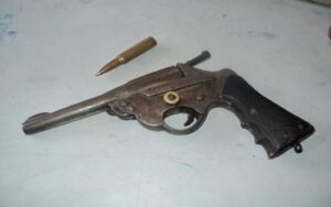 सर्लाहीमा नलकटुवा पेस्तोलसहित महतो पक्राउ