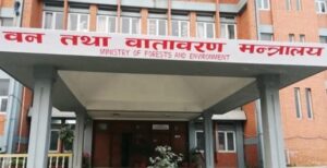 वन निगममा ‘सिइओ’ नियुक्ति प्रक्रिया अब अन्तिम चरणमा