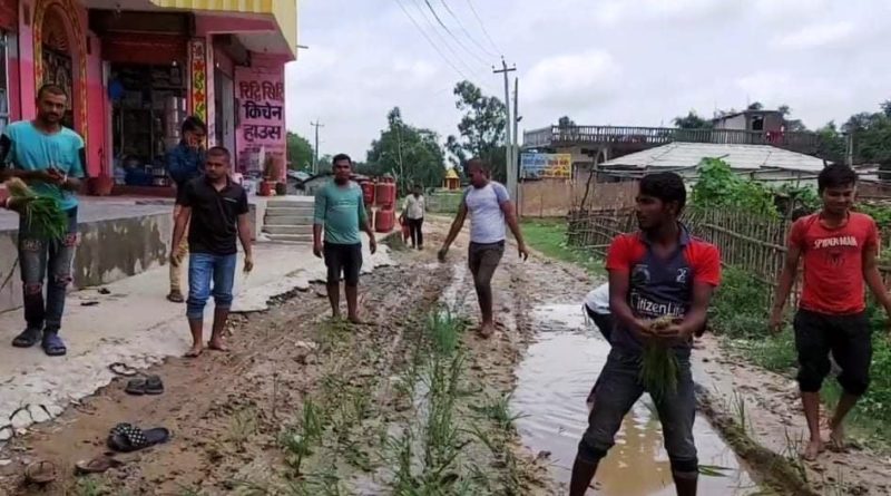 महोेत्तरीमा युवाहरुले सडकमै धान रोपी ध्यान आकर्षण गरेका छन्