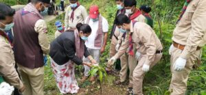 बिरुवा रोप्ने मात्र नभई संरक्षणमा ध्यान दिऔँः मन्त्री पाण्डे