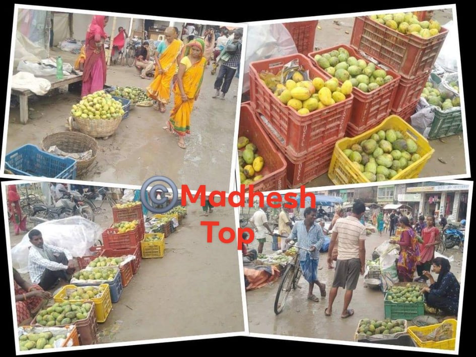 महोत्तरीको गाैशाला वजारमा रसायन हालेर पकाएकाे अाँप खुलेआम विक्रि वितरण- सम्वन्धित निकाय माैन