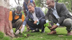 पशुपति क्षेत्र विकास कोष परिसरमा रोपियो गुणकारी वनस्पति गुर्जोको ५ सय विरुवा