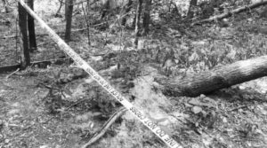 शिवानी हत्या प्रकरण : बलात्कार गर्न नदिँदा घाँटी रेटेर हत्या गरेका युवक पक्राउ