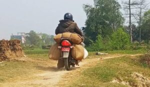 धनुषामा प्रहरीको सेटिङ्गमा बढ्यो तस्करीको ताण्डव