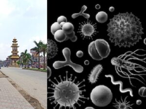 वीरगञ्जमा ब्ल्याक फंगसबाट तीनजनाको मृत्यु ५ जनामा थप संक्रमण उपचारको लागि भारत लागिए