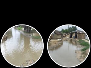 पोखरीमा रुमलिएको कहाली लाग्दो बस्ती