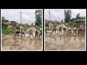 बाध्यता सडकमा धान रोप्दै युवाहरु