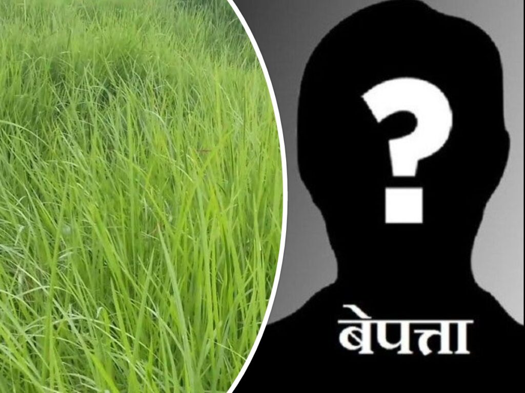 घाँस काट्न गएका वृद्ध बेपत्ता, खोजी कार्यमा कुकुरको प्रयोग