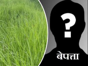 घाँस काट्न गएका वृद्ध बेपत्ता, खोजी कार्यमा कुकुरको प्रयोग