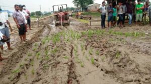 राष्ट्रिय धान दिवस: सप्तरीमा युवाहरुद्वारा सडकमै रोपाइ