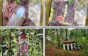 दक्षिणकालीमा भेटिएको शवको सनाखत हुन सकेन: हत्या गरेर छाडेको प्रहरीको निष्कर्ष